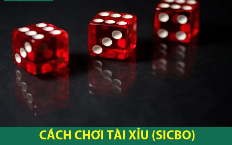  Chỉ với những bước đơn giản bạn đã có thể tham gia Sicbo 98win.