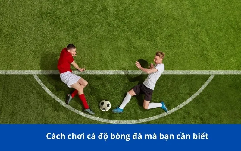 Cách chơi cá độ bóng đá mà bạn cần biết