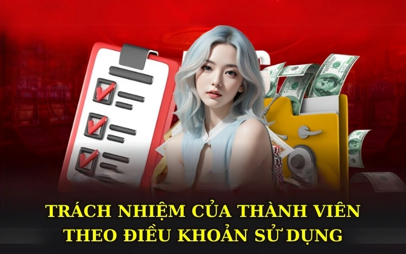 Trách nhiệm của thành viên theo điều khoản sử dụng